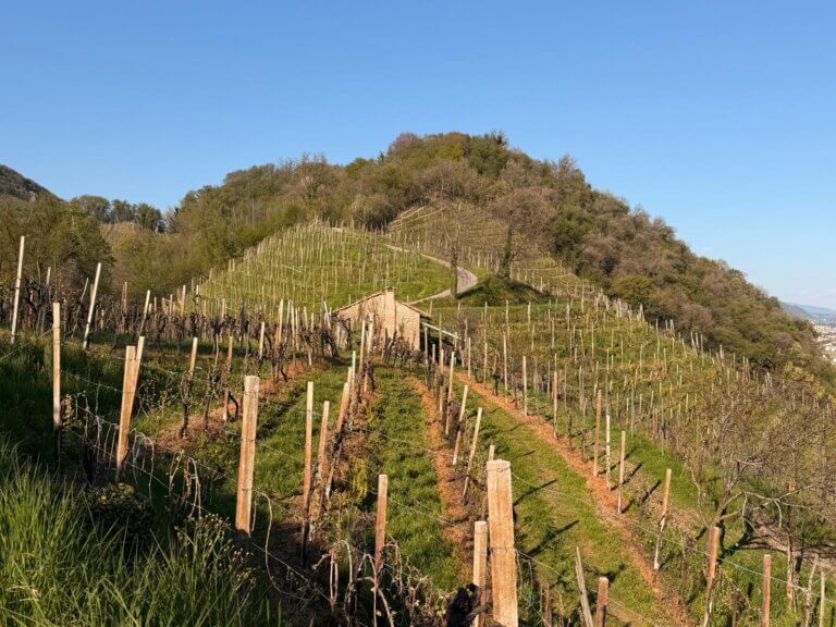 WhatsApp-Image-2026-04-09-at-11.59.45