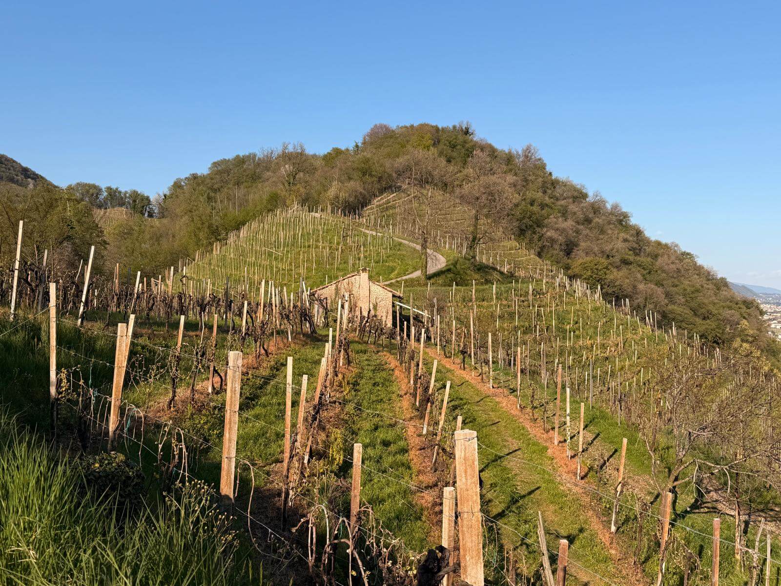 WhatsApp-Image-2026-04-09-at-11.59.45